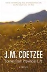 J. M. Coetzee - Scenes from Provincial Life