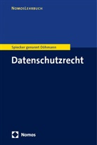 Indra Döhmann, Indra Spiecker, Indra Spiecker genannt Döhmann - Datenschutzrecht