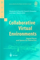 Elizabeth F. Churchill, Alan J Munro, Alan J. Munro, Davi N Snowdon, David N Snowdon, David N. Snowdon - Collaborative Virtual Environments