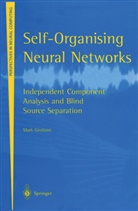 Mark Girolami - Self-Organising Neural Networks
