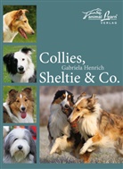 Gabriela Henrich - Collies, Sheltie & Co.