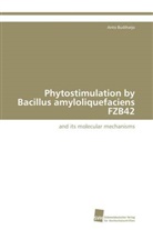 Anto Budiharjo - Phytostimulation by Bacillus amyloliquefaciens FZB42