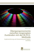Mathias Pabst - Übergangsmomente zwischen angeregten Zuständen mit der RI-CC2-Methode