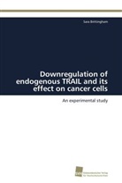Sara Brittingham - Downregulation of endogenous TRAIL and its effect on cancer cells