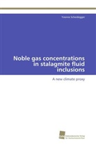 Yvonne Scheidegger - Noble gas concentrations in stalagmite fluid inclusions