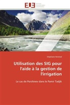 Stéphane Henriod, Henriod-S - Utilisation des sig pour l aide a