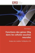 Amélie Wegener, Wegener-a - Fonctions des genes olig dans les
