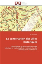 Ali Zamanifard, Zamanifard-a - La conservation des villes