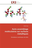 Michel Sassi, Sassi-m - Auto assemblage moleculaires sur