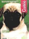 Carlino
