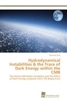 Veronika Junk - Hydrodynamical Instabilities & the Trace of Dark Energy within the CMB