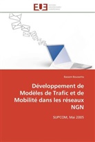 Bassem Boussetta, Boussetta-b - Developpement de modeles de