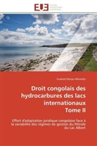 Guélord Mosau Mbombo, Mosau Mbombo-G - Droit congolais des hydrocarbures