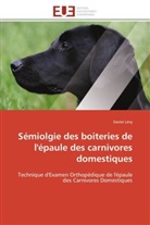 Xavier Lévy, Levy-x - Semiolgie des boiteries de l