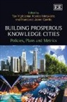 Francisco Javie Carrillo, Kostas Metaxiotis, Tan Yigitcanlar, Tan Metaxiotis Yigitcanlar, Tan/ Metaxiotis Yigitcanlar, Francisco Javier Carrillo... - Building Prosperous Knowledge Cities