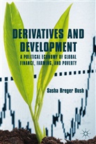 Breger Bush, Sasha Breger Bush, BREGER BUSH SASHA, S. Breger Bush, Sasha Breger Bush, Kenneth A Loparo... - Derivatives and Development