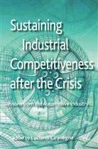 Luciano Ciravegna, Ciravegna Luciano, CIRAVEGNA, Ciravegna, L Ciravegna, L. Ciravegna... - Sustaining Industrial Competitiveness After the Crisis