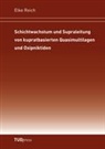 Elke Reich - Schichtwachstum und Supraleitung von kupratbasierten Quasimultilagen und Oxipniktiden