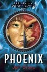 Jeff Stone - Phoenix