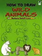 Drawing, How to Draw, Barbara Soloff Levy, Barbara Soloff How to Draw Levy, Barbara Soloff Levy, Barbara Soloff-Levy - How to Draw Wild Animals