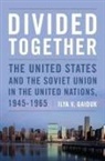 I. V. Gaiduk, Ilya Gaiduk, Ilya V Gaiduk Gaiduk, Ilya V. Gaiduk, GAIDUK ILYA V - Divided Together