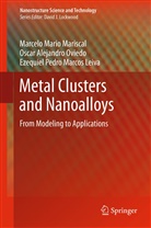 Le, Ezequiel Pedro Marcos Leiva, Marcelo Mari Mariscal, Marcelo Mario Mariscal, Oscar Alejandr Oviedo, Oscar Alejandro Oviedo - Metal Clusters and Nanoalloys