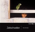 Peter Schneider - Zeitschwellen
