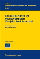 Alexande Brunner, Alexander Brunner - Handelsgerichte im Rechtsvergleich (Projekt Best Practice). Bd.2