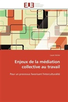 Laure Veirier, Veirier-l - Enjeux de la mediation collective