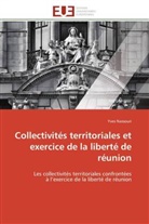 Yves Nassouri, Nassouri-Y - Collectivites territoriales et