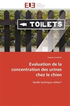 Hugues Lavalette, Lavalette-H - Evaluation de la concentration