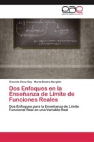 Marta Beatríz Bergallo, Graciela Elen Gay, Graciela Elena Gay - Dos Enfoques en la Enseñanza de Límite de Funciones Reales
