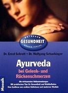 Wolfgang Schachinger, Ernst Schrott - Ayurveda bei Gelenkschmerzen und Rückenschmerzen