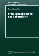 Sandra Beaufaÿs - Professionalisierung der Geburtshilfe