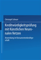 Christoph Schnurr - Kreditwürdigkeitsprüfung mit Künstlichen Neuronalen Netzen
