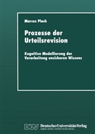 Marcus Plach - Prozesse der Urteilsrevision