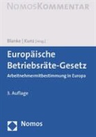Blank, Thoma Blanke, Thomas Blanke, M. Carlson, Sandra Birte Carlson, Ralf-Pete Hayen... - Europäisches Betriebsräte-Gesetz (EBRG), Kommentar