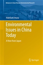 Hidefumi Imura, Imura Imura - Environmental Issues in China Today