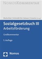 Schmidt-D Caluwe, Coseriu, Pablo Coseriu, Bernd Mutschler, Reimun Schmidt-De Caluwe, Reimund Schmidt-De Caluwe - Sozialgesetzbuch (SGB) III, Arbeitsförderung, Großkommentar