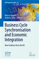 Marcu Kappler, Marcus Kappler, Sachs, Sachs, Andreas Sachs - Business Cycle Synchronisation and Economic Integration