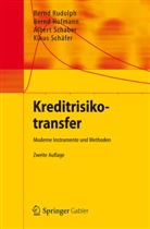 Bern Hofmann, Bernd Hofmann, Bern Rudolph, Bernd Rudolph, Albert Schaber, Albert u a Schaber... - Kreditrisikotransfer