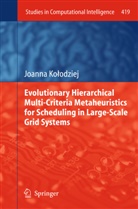Joanna Ko odziej, Joanna Ko¿odziej, Joanna Kolodziej, Joanna Kołodziej - Evolutionary Hierarchical Multi-Criteria Metaheuristics for Scheduling in Large-Scale Grid Systems