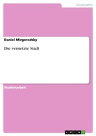 Daniel Mirgorodsky - Die vernetzte Stadt
