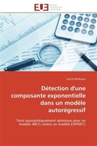 Said El Melhaoui, El Melhaoui-S - Detection d une composante