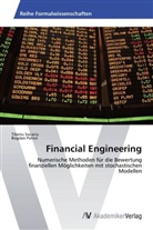 Bogdan Patrut, Tiberi Socaciu, Tiberiu Socaciu - Financial Engineering