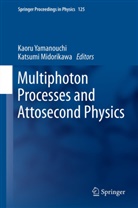 Katsumi, Katsumi, Midorikawa Katsumi, Katsumi Midorikawa, Kaor Yamanouchi, Kaoru Yamanouchi - Multiphoton Processes and Attosecond Physics