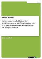 Steffen Schmidt - Grenzen und Möglichkeiten der Implementierung von Trendsportarten in den Sportunterricht der Sekundarstufe I am Beispiel Parkour