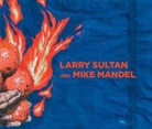 Charlott Cotton, Charlotte Cotton, Jonatha Lethem, Jonathan Lethem, Const Lewallen, Constance M Lewallen... - Larry Sultan und Mike Mandel