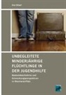 Eva Stauf - Unbegleitete Minderjährige Flüchtlinge in der Jugendhilfe