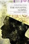 Christopher D Rodkey, Christopher D. Rodkey, Rodkey Christopher D. - Synaptic Gospel Teaching the